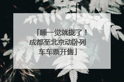 睡一觉就拢了！成都至北京动卧列车车票开售