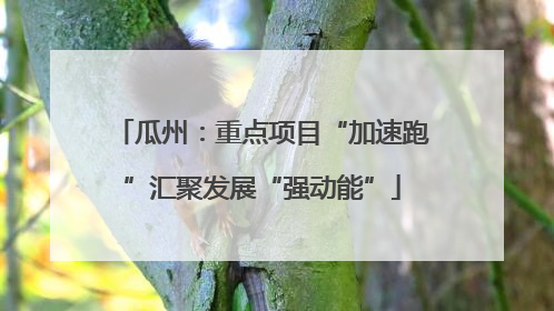 瓜州：重点项目“加速跑”汇聚发展“强动能”