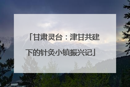 甘肃灵台：津甘共建下的针灸小镇振兴记