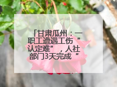 甘肃瓜州：一职工遭遇工伤“认定难”，人社部门3天完成“证据链闭环”