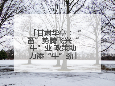 甘肃华亭：“畜”势腾飞兴“牛”业 政策助力添“牛”劲