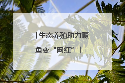生态养殖助力鳜鱼变“网红”