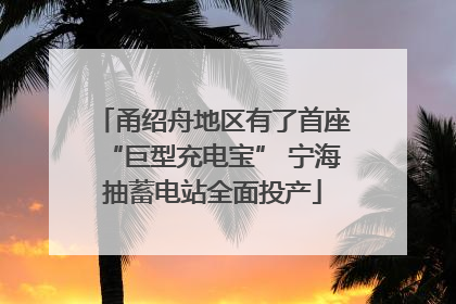 甬绍舟地区有了首座“巨型充电宝” 宁海抽蓄电站全面投产