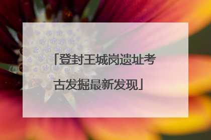 登封王城岗遗址考古发掘最新发现
