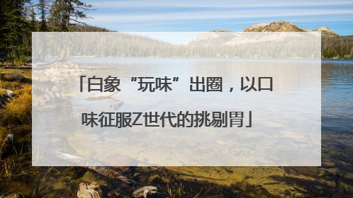 白象“玩味”出圈，以口味征服Z世代的挑剔胃