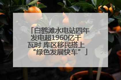 白鹤滩水电站四年发电超1960亿千瓦时 库区移民搭上“绿色发展快车”