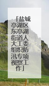 盐城亭湖区东亭湖街道人大工委组织防汛专项视察工作