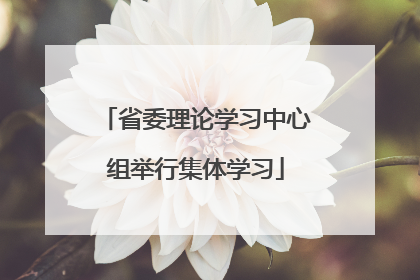 省委理论学习中心组举行集体学习