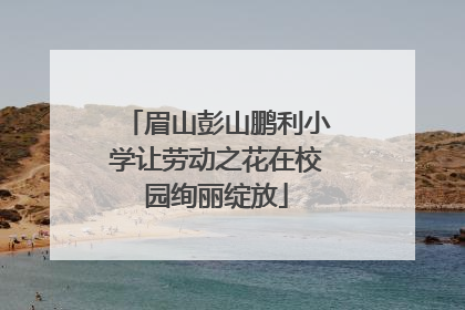 眉山彭山鹏利小学让劳动之花在校园绚丽绽放