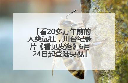 看20多万年前的人类远征，川台纪录片《看见皮洛》6月24日起登陆央视