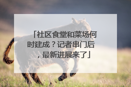 社区食堂和菜场何时建成？记者串门后，最新进展来了