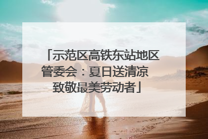 示范区高铁东站地区管委会：夏日送清凉 致敬最美劳动者