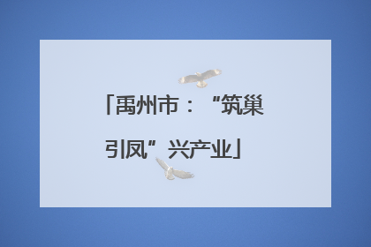 禹州市：“筑巢引凤”兴产业