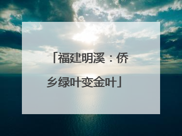 福建明溪：侨乡绿叶变金叶