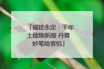 福建永定：千年土楼焕新颜 丹青妙笔绘客情