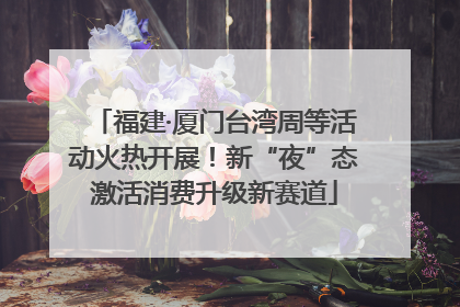 福建·厦门台湾周等活动火热开展！新“夜”态激活消费升级新赛道