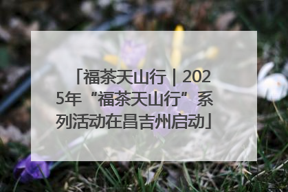 福茶天山行｜2025年“福茶天山行”系列活动在昌吉州启动