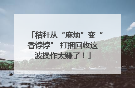 秸秆从“麻烦”变“香饽饽” 打捆回收这波操作太赚了！