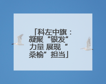 科左中旗：凝聚“银发”力量 展现“桑榆”担当