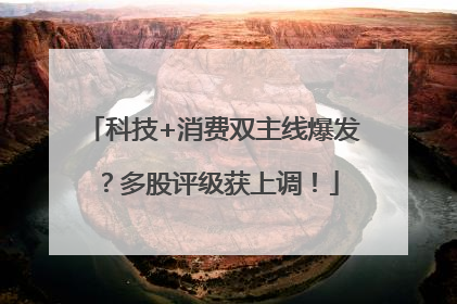 科技+消费双主线爆发？多股评级获上调！