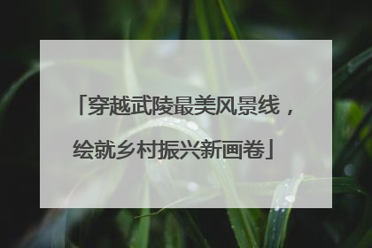 穿越武陵最美风景线，绘就乡村振兴新画卷