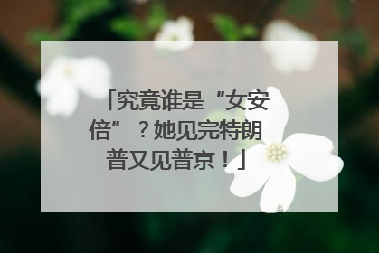 究竟谁是“女安倍”？她见完特朗普又见普京！