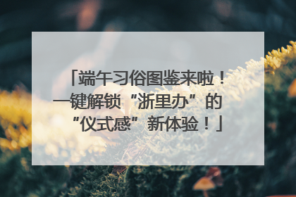 端午习俗图鉴来啦！一键解锁“浙里办”的“仪式感”新体验！