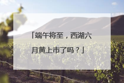 端午将至，西湖六月黄上市了吗？