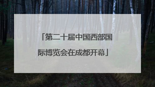 第二十届中国西部国际博览会在成都开幕