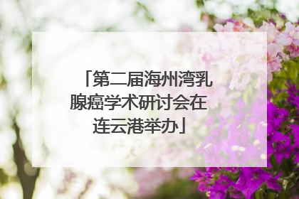 第二届海州湾乳腺癌学术研讨会在连云港举办