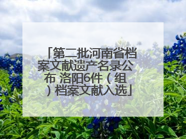 第二批河南省档案文献遗产名录公布 洛阳6件（组）档案文献入选