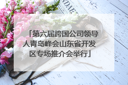 第六届跨国公司领导人青岛峰会山东省开发区专场推介会举行