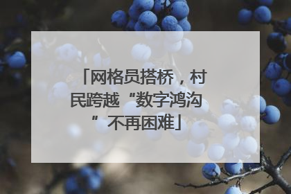 网格员搭桥，村民跨越“数字鸿沟”不再困难
