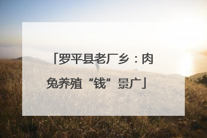 罗平县老厂乡：肉兔养殖“钱”景广