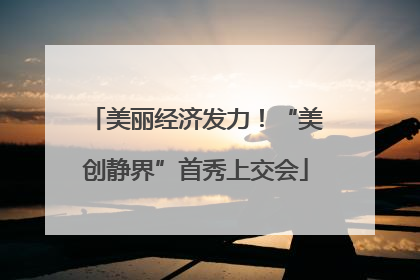 美丽经济发力！“美创静界”首秀上交会