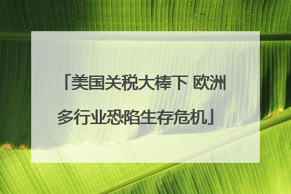 美国关税大棒下 欧洲多行业恐陷生存危机