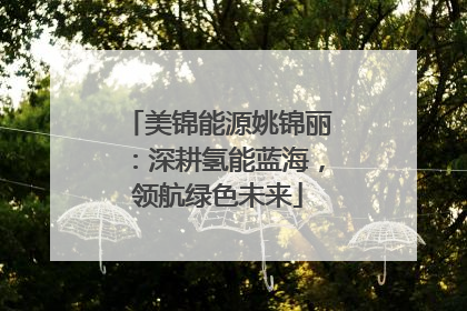 美锦能源姚锦丽：深耕氢能蓝海，领航绿色未来