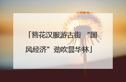 簪花汉服游古街 “国风经济”劲吹昙华林