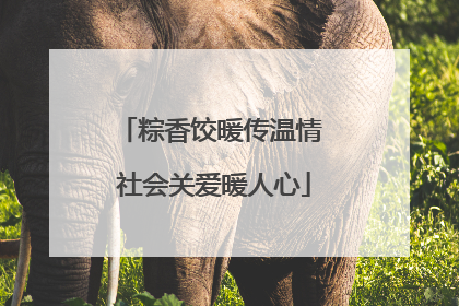 粽香饺暖传温情 社会关爱暖人心