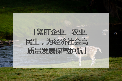 紧盯企业、农业、民生，为经济社会高质量发展保驾护航