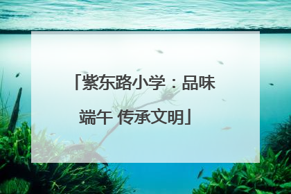 紫东路小学：品味端午 传承文明