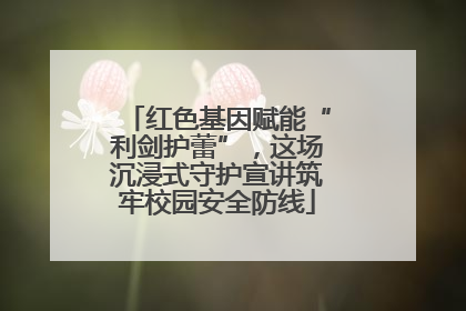 红色基因赋能“利剑护蕾”，这场沉浸式守护宣讲筑牢校园安全防线