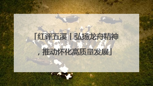 红评五溪丨弘扬龙舟精神，推动怀化高质量发展