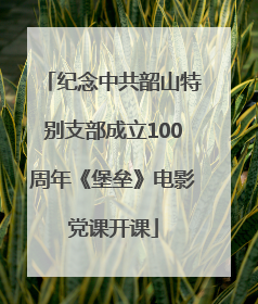 纪念中共韶山特别支部成立100周年《堡垒》电影党课开课