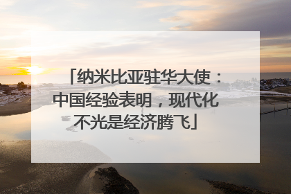 纳米比亚驻华大使：中国经验表明，现代化不光是经济腾飞