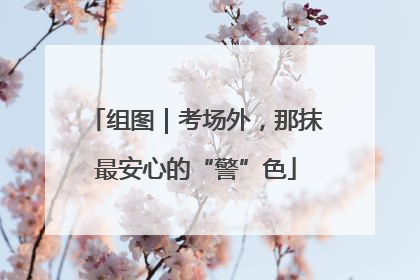 组图｜考场外，那抹最安心的“警”色