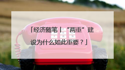经济随笔丨“两重”建设为什么如此重要？