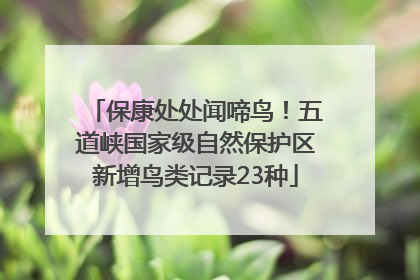 保康处处闻啼鸟！五道峡国家级自然保护区新增鸟类记录23种