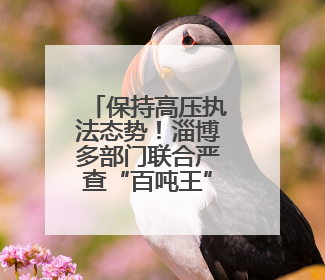保持高压执法态势！淄博多部门联合严查“百吨王”超载车辆