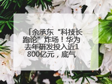 余承东“科技长跑论”炸场！华为去年研发投入近1800亿元，底气何在？